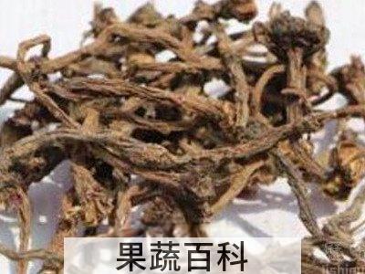 婆婆丁晒干泡水的功效与作用 婆婆丁晒干泡水禁忌
