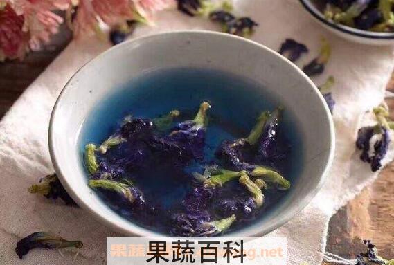 蓝蝴蝶花泡水喝的功效