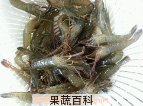 河虾的营养价值及功效