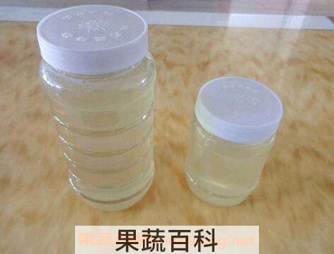 槐花蜜的功效与作用及食用方法