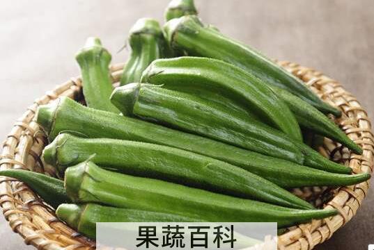 羊角果的功效与作用