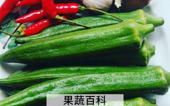 羊角果的功效与作用