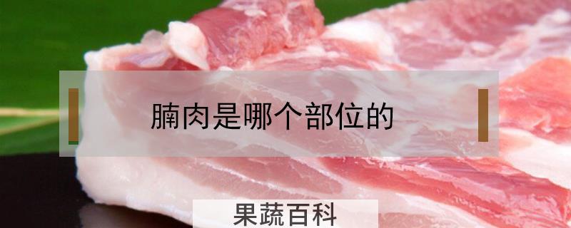 腩肉是哪个部位的