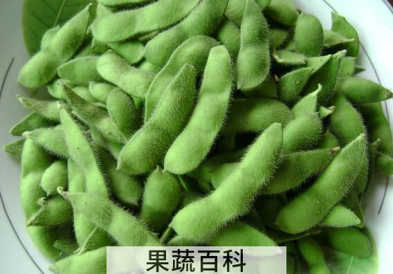 毛豆的功效与作用及禁忌