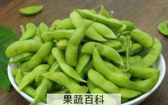 毛豆的功效与作用及禁忌