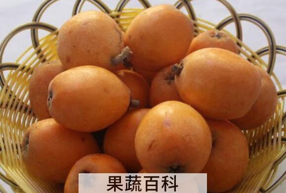 枇杷果如何保存 新鲜枇杷怎么长期保存