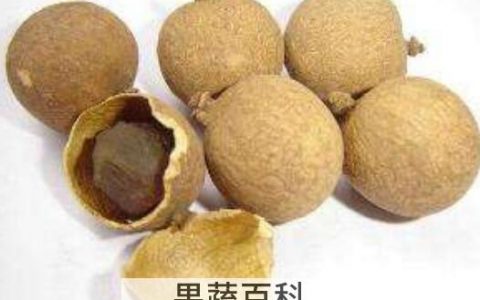 桂圆干的功效与作用 桂圆干的禁忌