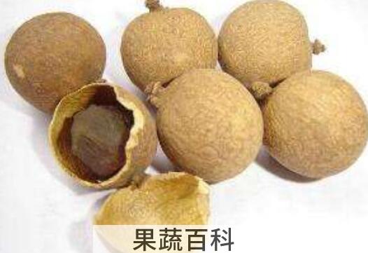 桂圆干的功效与作用 桂圆干的禁忌