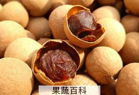 桂圆干的功效与作用 桂圆干的禁忌