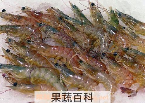 虾不能和什么一起吃 吃虾的禁忌