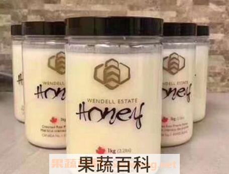 加拿大白蜜怎么吃 加拿大白蜜的吃法