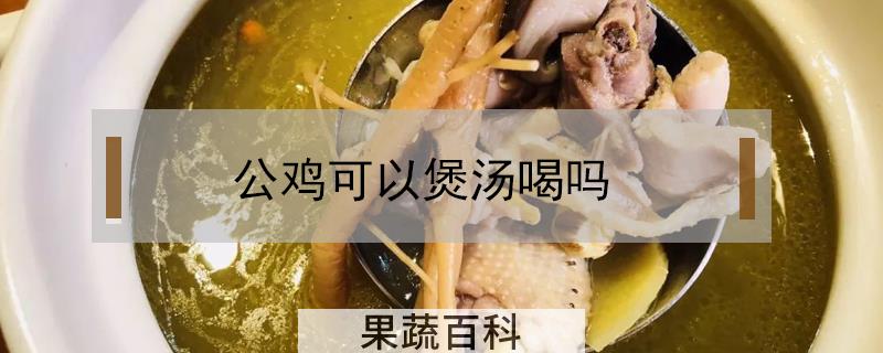 公鸡可以煲汤喝吗