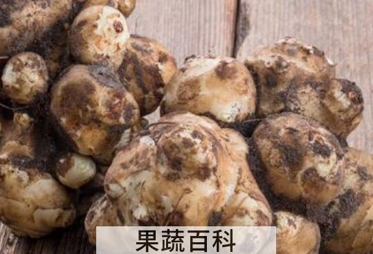 洋芋头的功效与作用及禁忌