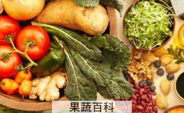 纤维素的功效与作用