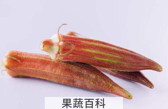 紫秋葵的功效与作用 紫秋葵的食用方法