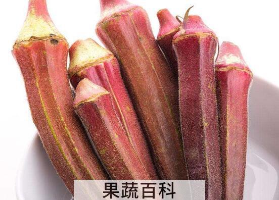 紫秋葵的功效与作用 紫秋葵的食用方法