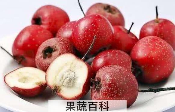 山楂和酸枣的功效与作用