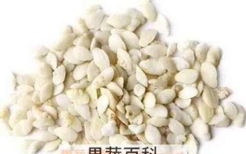 中药鱼脑石的功效与作用及药用价值