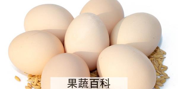 一斤鸡蛋大概有几个
