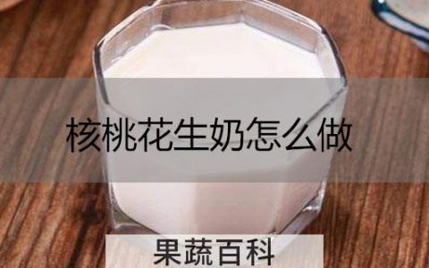 核桃花生奶怎么做