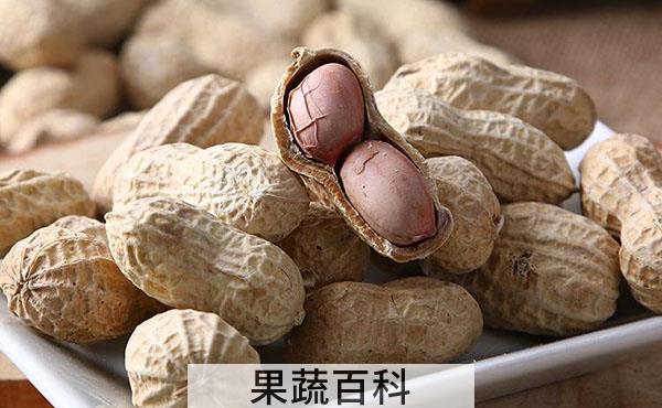 核桃花生奶怎么做