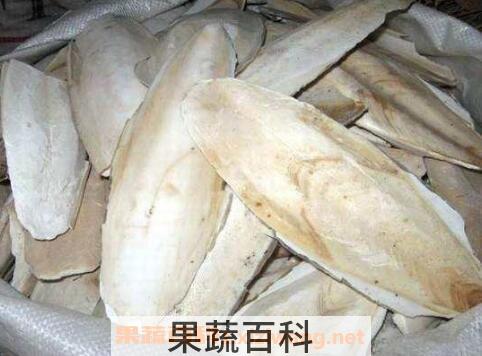 中药鱼古的功效与作用