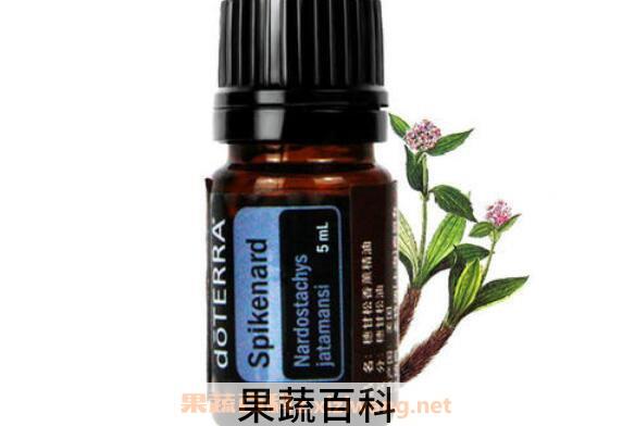 穗甘松精油的功效与作用 穗甘松精油的用途