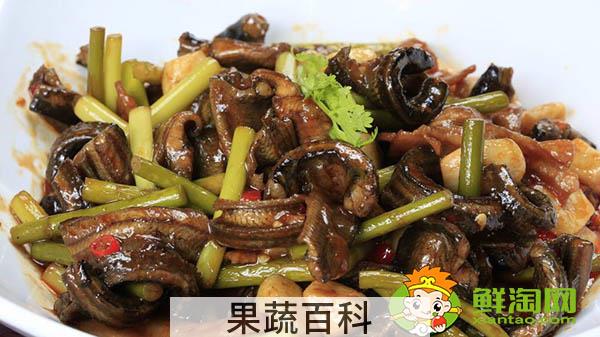 黄鳝不杀直接炖可以吗，黄鳝怎么杀保留黄鳝血