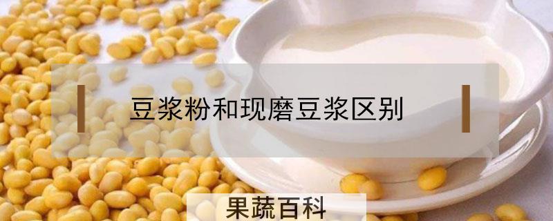 豆浆粉和现磨豆浆区别