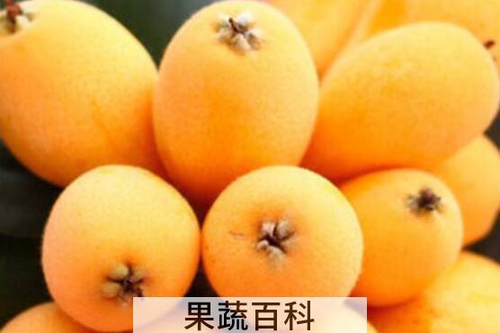 女人吃枇杷的好处 女人吃枇杷的坏处