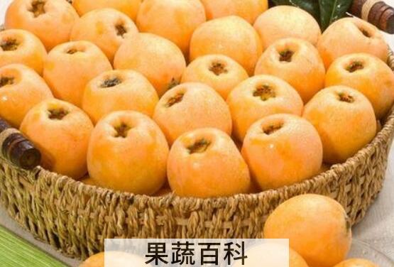 什么人不能吃枇杷 吃枇杷的禁忌有哪些