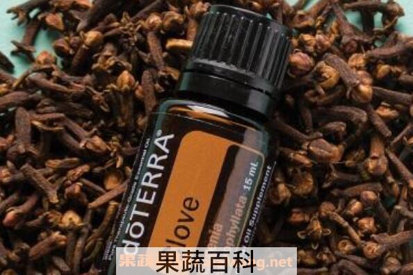 丁香精油的功效与作用