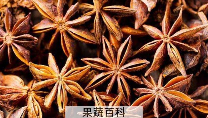 炖羊肉放什么调料