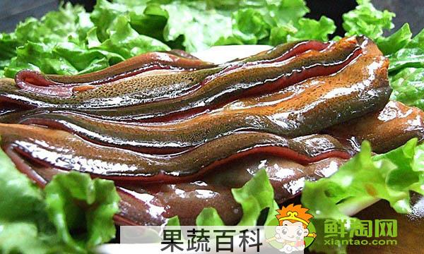 女人吃黄鳝有什么好处，黄鳝的功效与作用