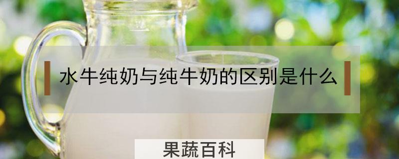 水牛纯奶与纯牛奶的区别是什么