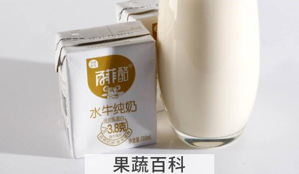 水牛纯奶与纯牛奶的区别是什么