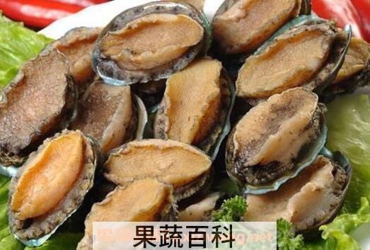 珍珠鲍鱼的功效与作用