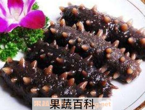 干海参怎么吃