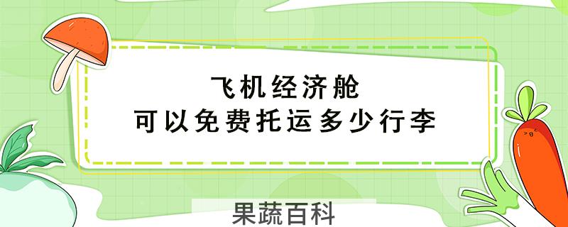 飞机经济舱可以免费托运多少行李