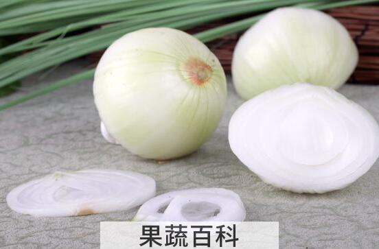 白皮圆葱的功效与作用