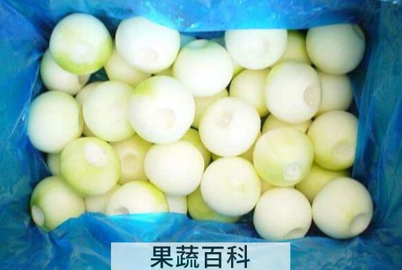 白皮圆葱的功效与作用