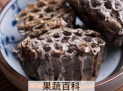 露蜂房的功效与作用及药用价值