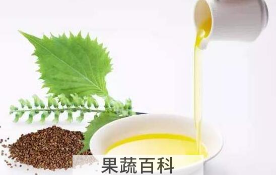 紫苏油怎么吃 紫苏油的食用方法