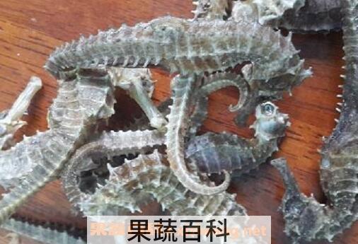 海马干有什么功效与作用