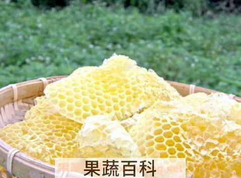 蜂房有毒吗 蜂房泡酒有什么功效