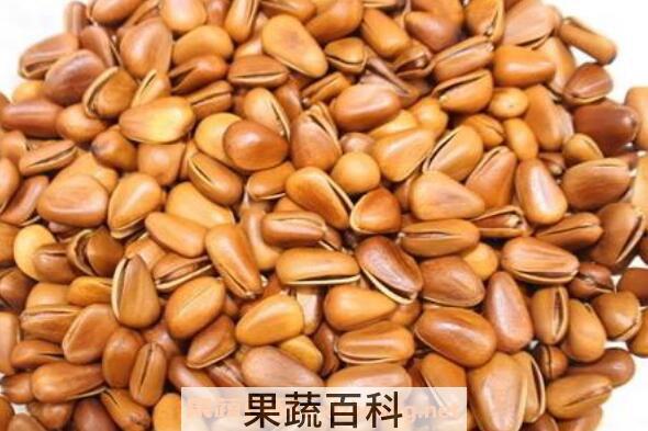 松子壳的功效和作用 松子壳的副作用