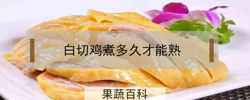 白切鸡煮多久才能熟