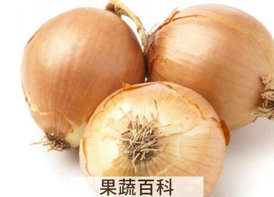 黄洋葱和白洋葱的区别