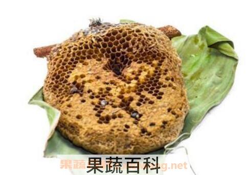 蜂房的功效与作用 吃蜂房的好处