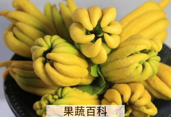 佛手柑精油的功效与作用 佛手柑精油的禁忌
